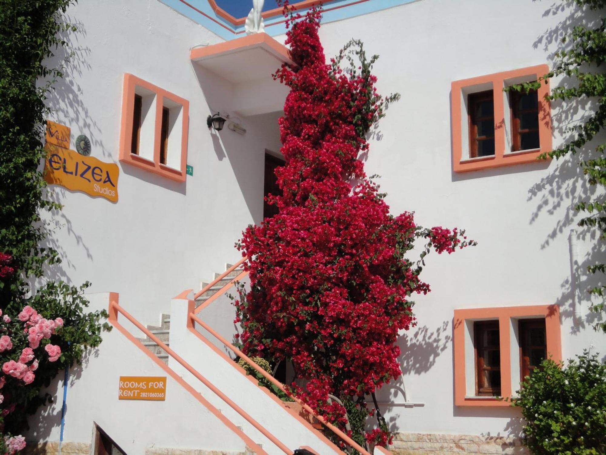 Villa Elizea สตาโลส ภายนอก รูปภาพ