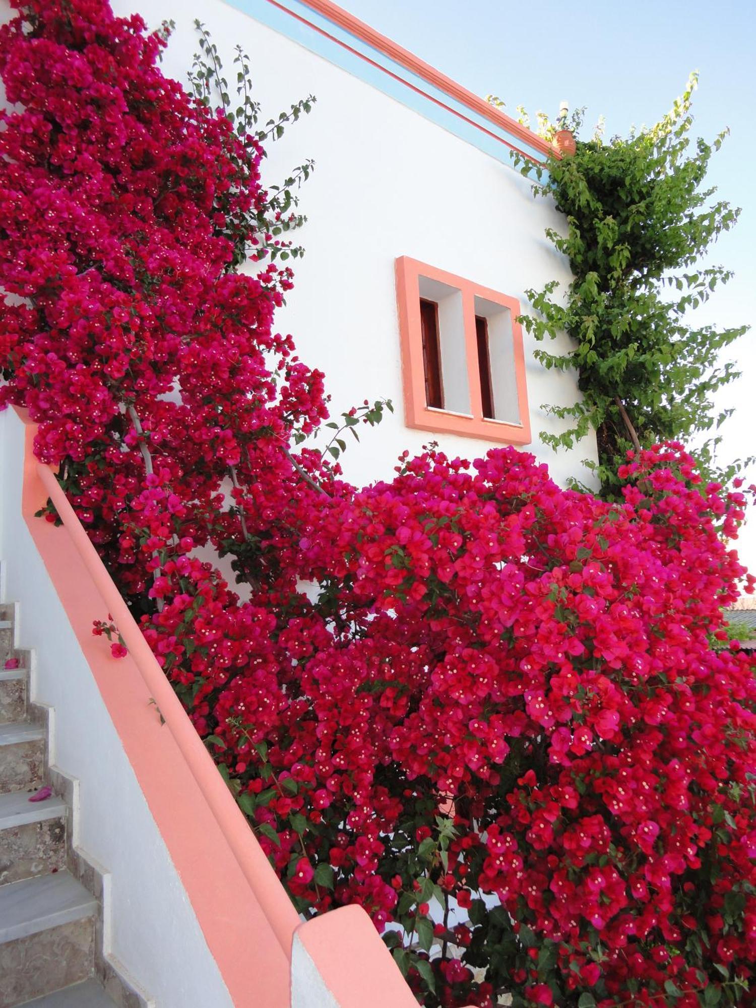 Villa Elizea สตาโลส ภายนอก รูปภาพ