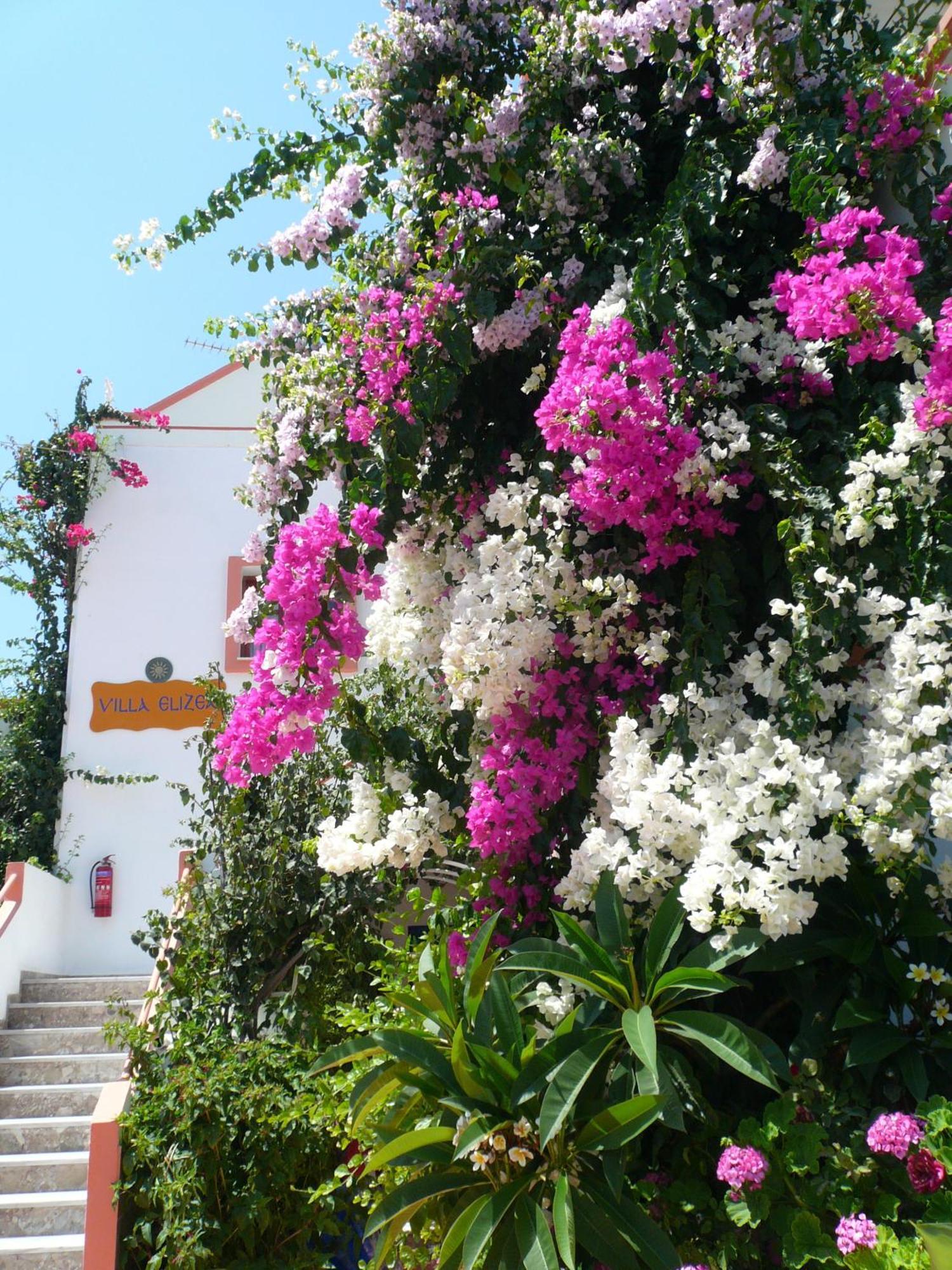 Villa Elizea สตาโลส ภายนอก รูปภาพ