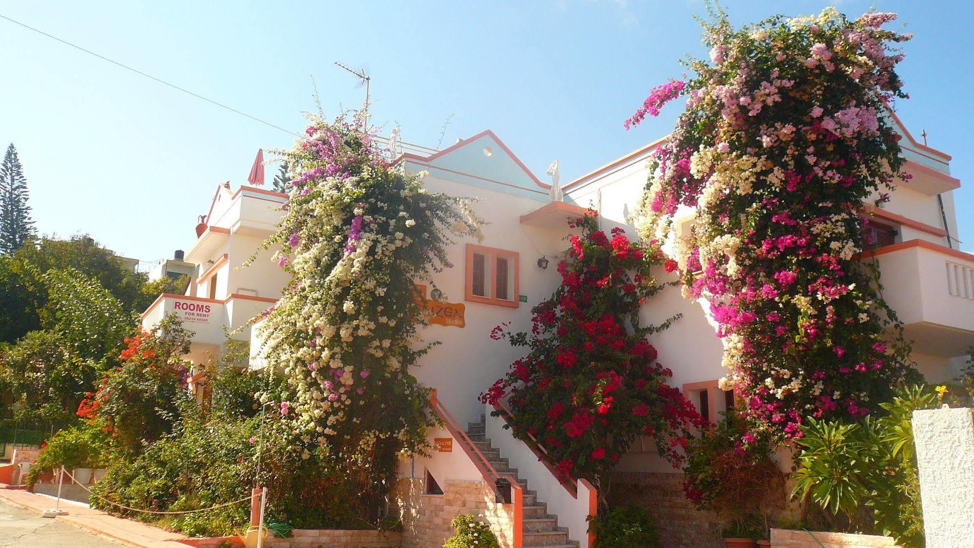 Villa Elizea สตาโลส ภายนอก รูปภาพ
